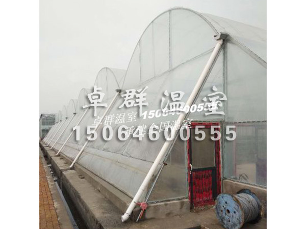 天津市西青區水稻育苗溫室.jpg