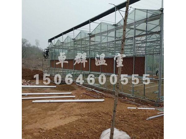 邵莊鎮(zhèn)生態(tài)餐廳溫室