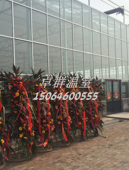 天津西青區新品種展示溫室.jpg
