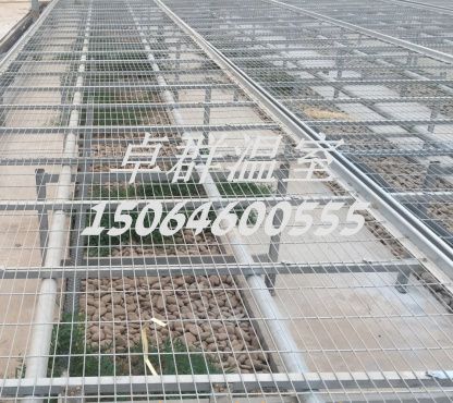 陜西省西安市育苗溫室