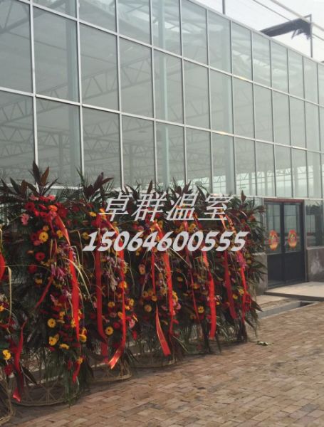 天津市西青區(qū)王穩(wěn)莊鎮(zhèn)新品種展示溫室