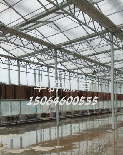 山東省青島市即墨玻璃溫室