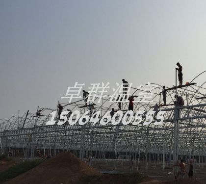 青州市南環路花卉市場