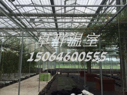 安徽省六安市育苗玻璃溫室