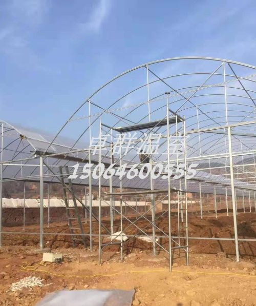 河北省邯鄲市圓形連棟薄膜溫室
