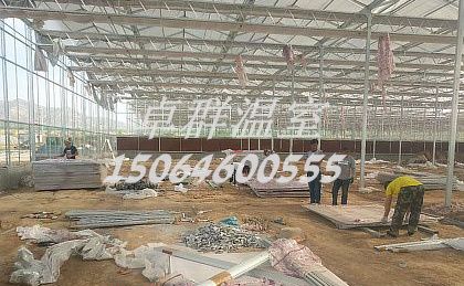 山西省忻州市忻府區秦鄉紋絡玻璃溫室