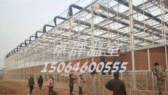 江蘇省新沂市雙塘鎮(zhèn)紋絡(luò)玻璃溫室